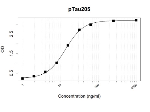 pTau205 Mouse Monoclonal Antibody(ARA981)